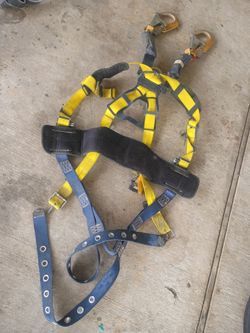 Harness