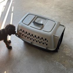 Small Dog Kennel