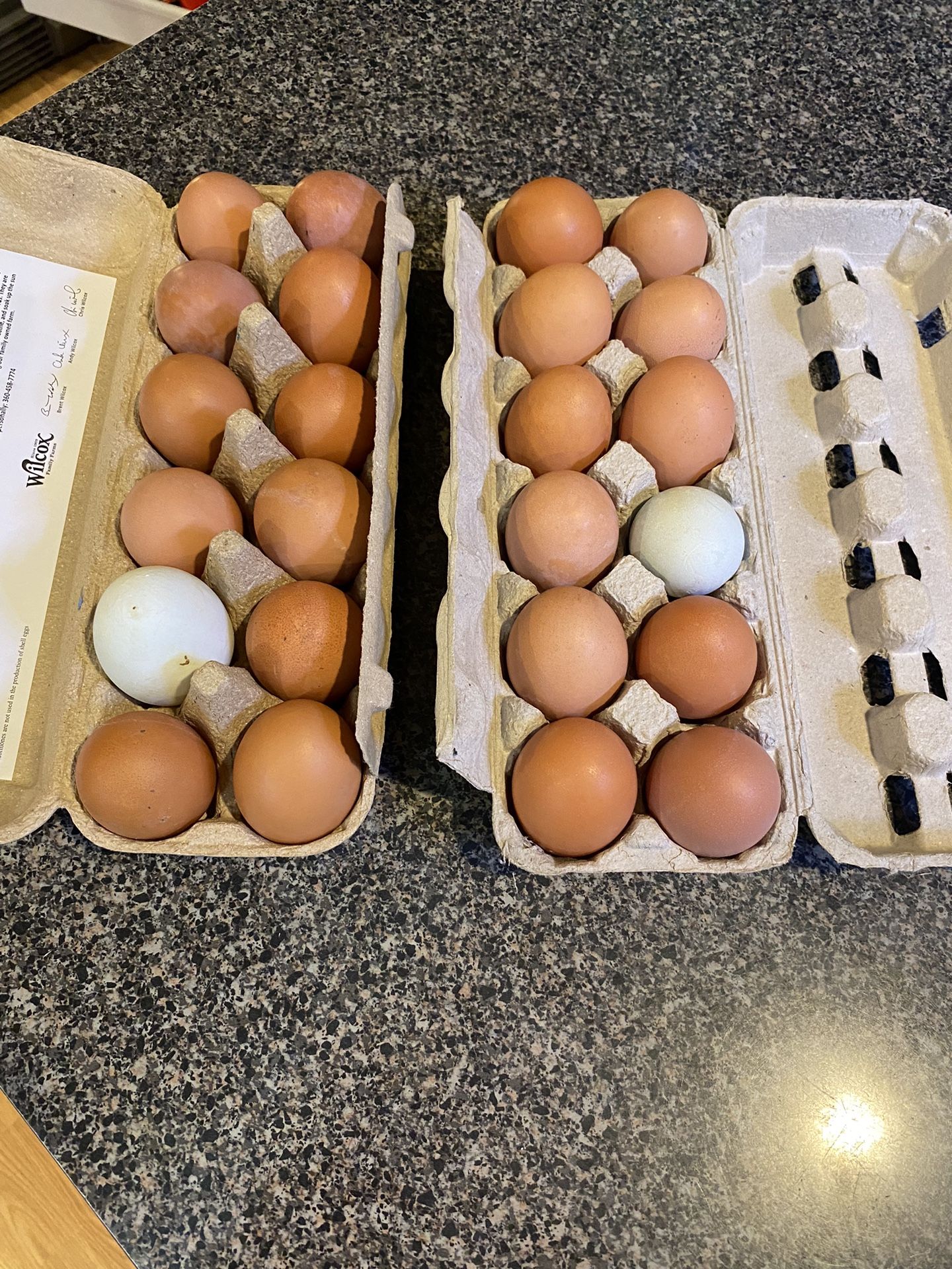 Farm Fresh Chicken And Duck Eggs