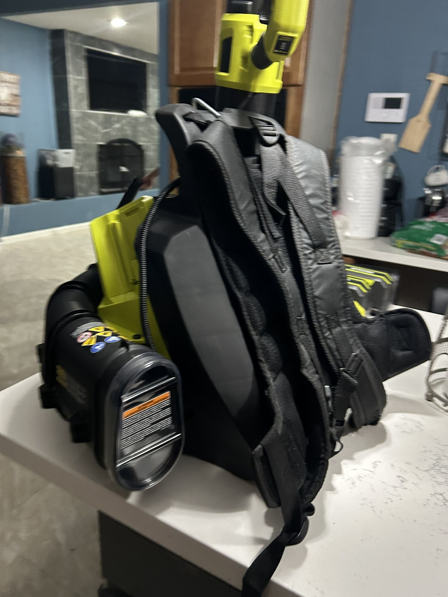 Ryobi Backpack Leaf Blower