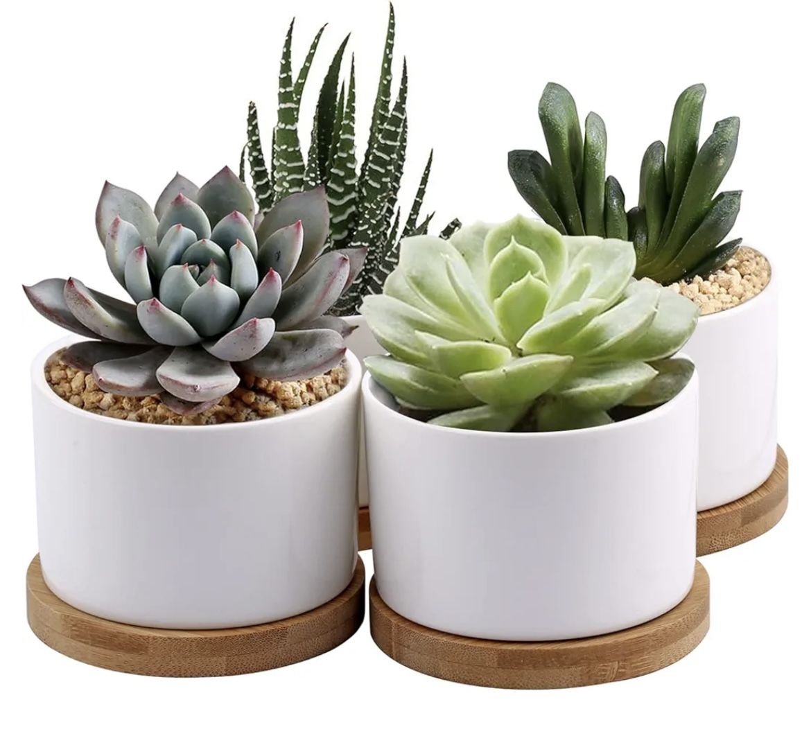 Set Of 4 Ceramic White Pots With Bamboo Saucer 3.5"x3" NEW, Plants Not Included