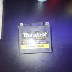 Duralast Gold Power Sport Battery 