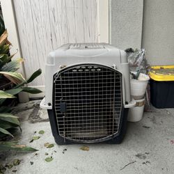 Large dog crate
