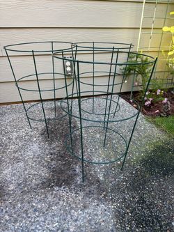 Tomato 🍅 Cages 19”-21” in height x 5