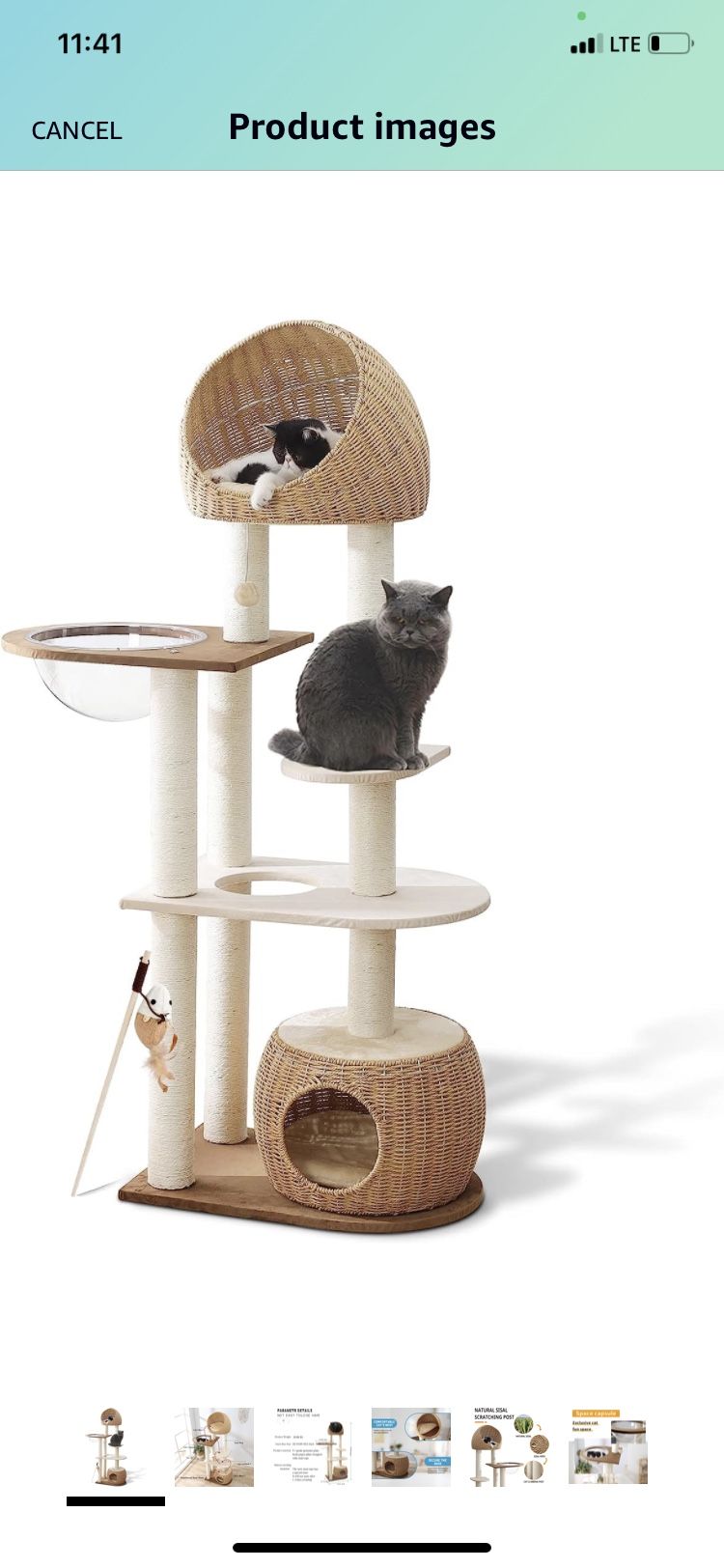 Cat Tree