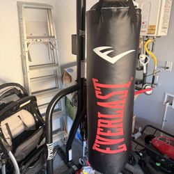 Everlast Stand And 100lb Bag