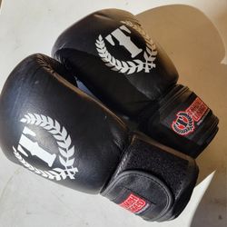 Boxing Gloves 