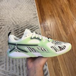 AIR JORDAN HEIR shoes