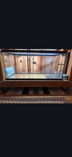 40 Gallon Glass Reptile Cage