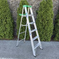 Werner 6 ft. H Aluminum Step Ladder Type II 225 lb. capacity