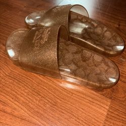 Coach slides