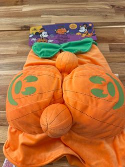 Dog costume Disney Halloween