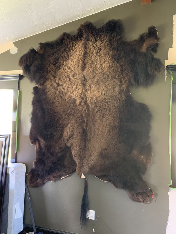 buffalo hides for sale buffalo hides for sale