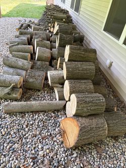 Dead Wood Logs + Campfire Wood - Bucked & Ready - You Haul