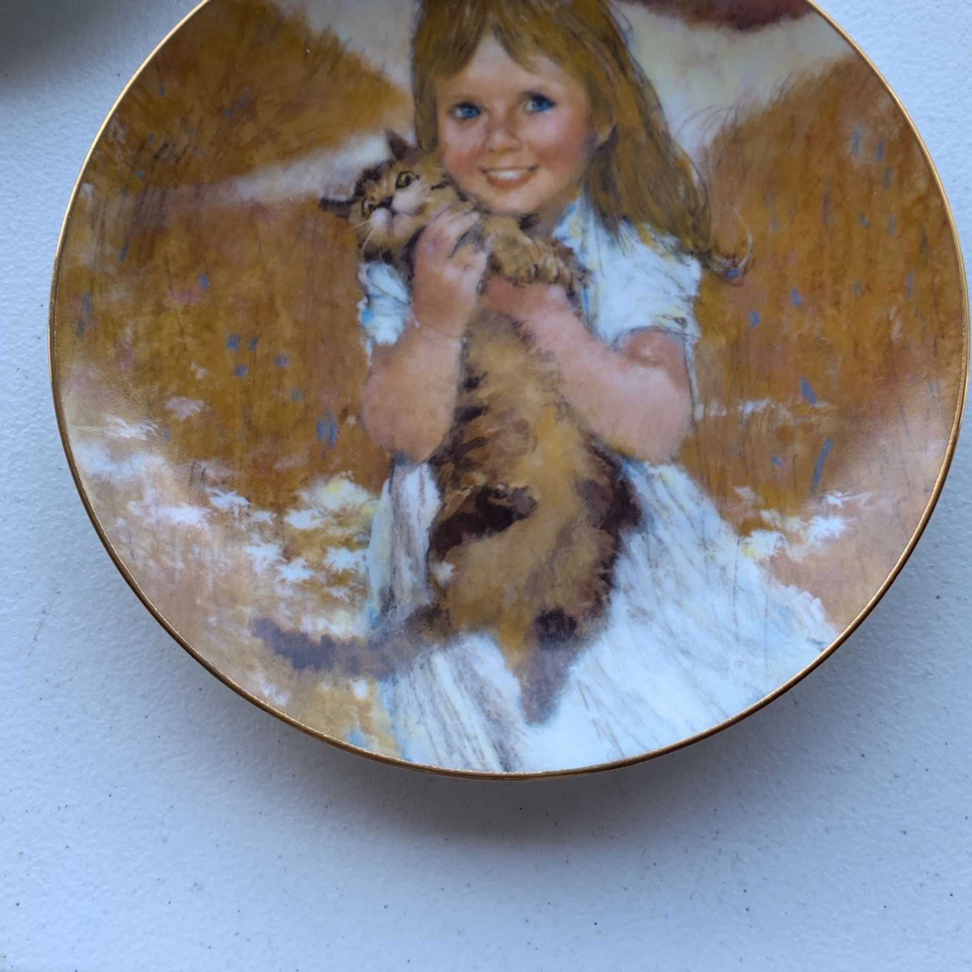Collectible Plates By Thornton Utz