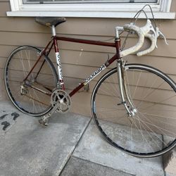 Vintage Colnago Super Italian Road Bike – Classic Steel Racing Bicycle 