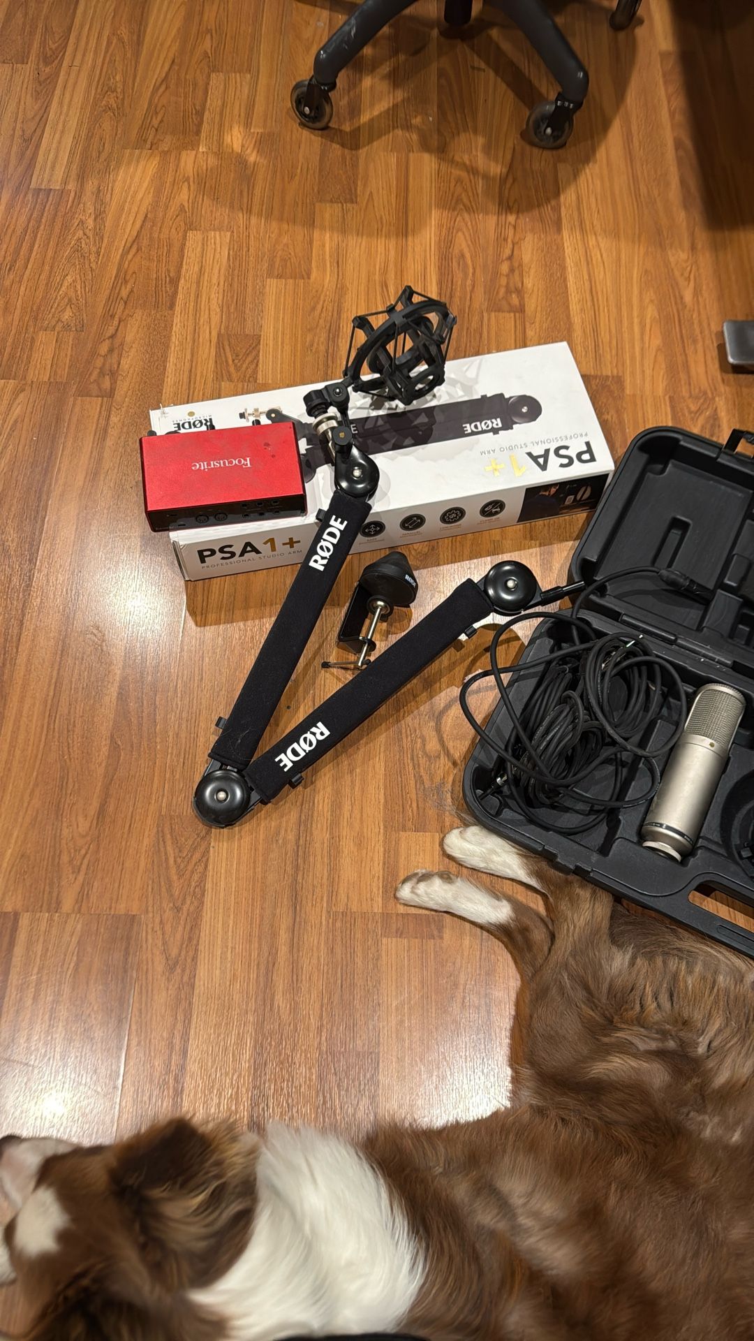 Focuseite, Rode , Rose K2
