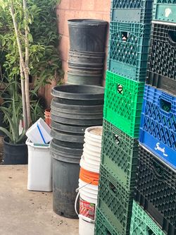 Plant Buckets and milk crates containers boxes storage