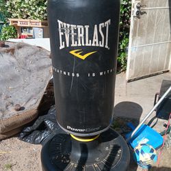 Used Everlast Punching Bag 