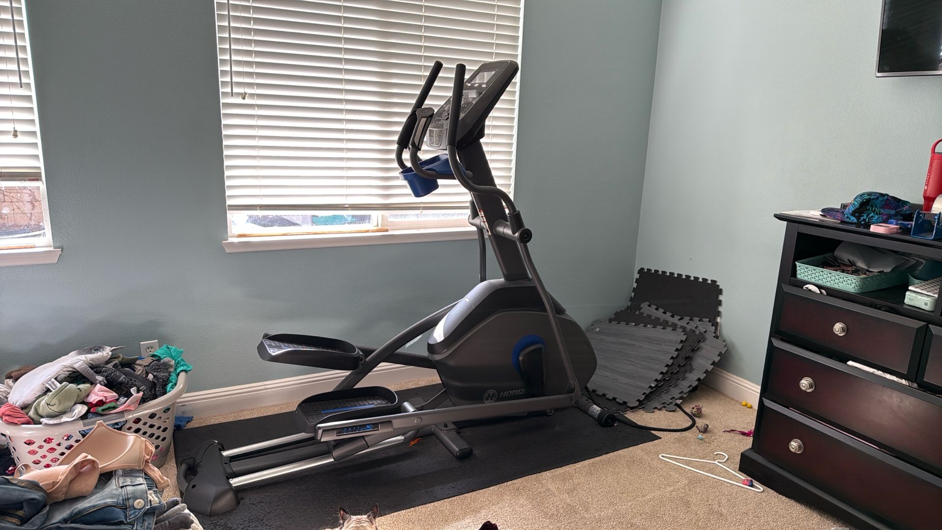 Horizon Elliptical 7.0AE