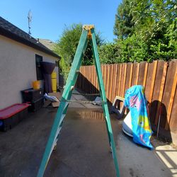 Werner ladder 8 ft with delivery