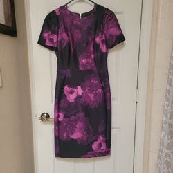 Calvin Klein  Dreas Size 6