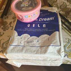 Ramen And Pregnancy Pillow For Ladies 