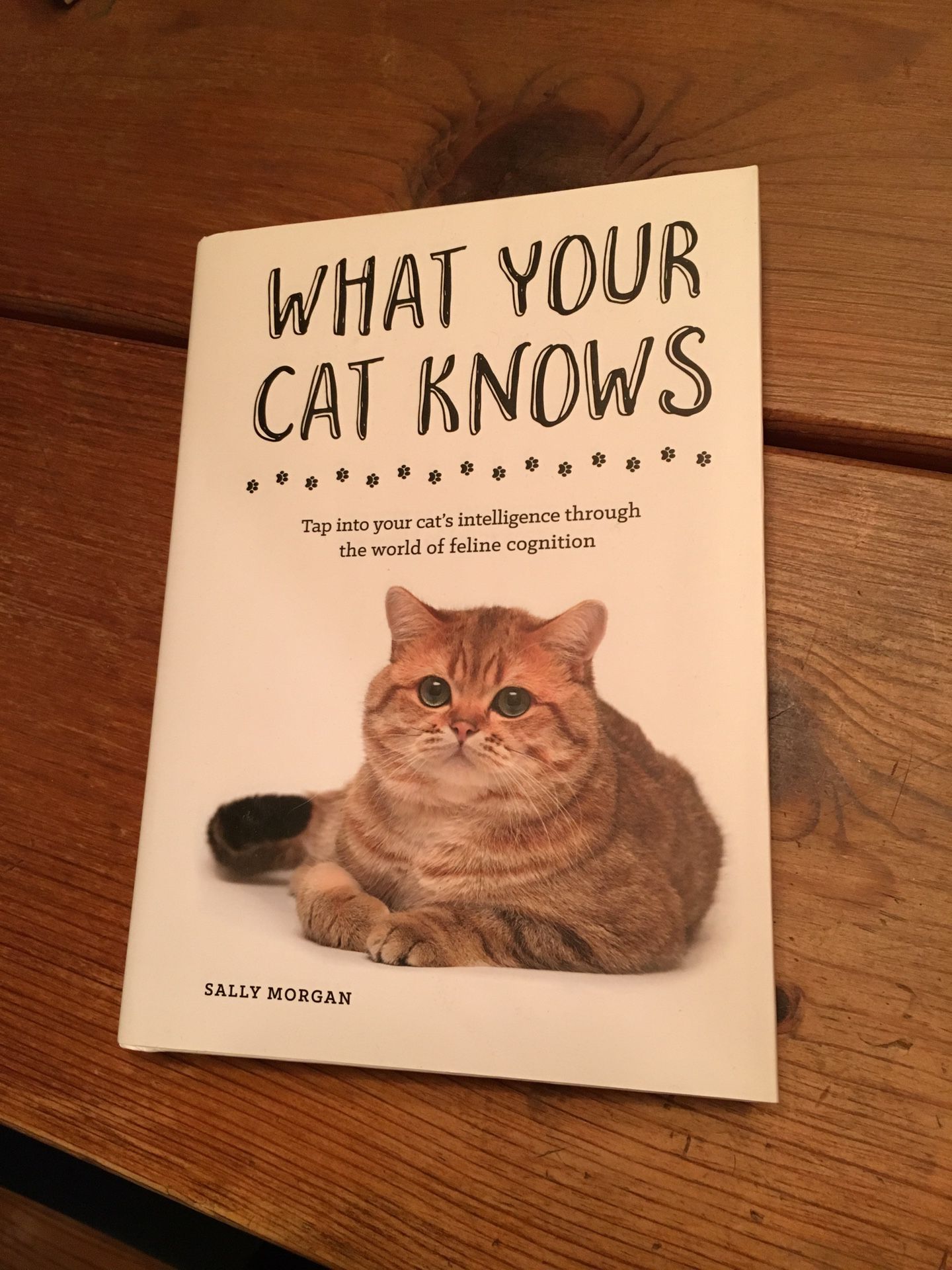 What Your Cat Knows book