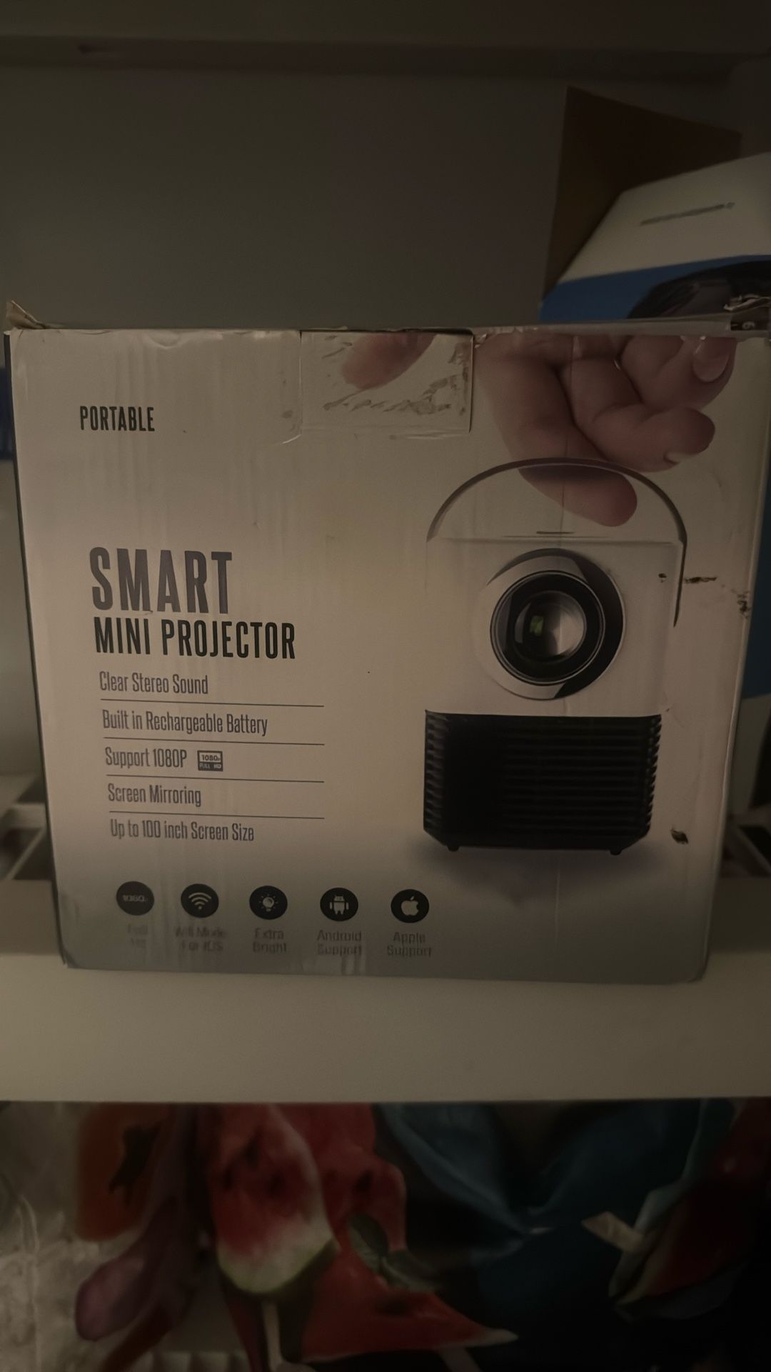 Projector