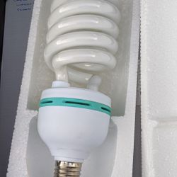 Kaezi + Bulbstar Photography Lightbulb 