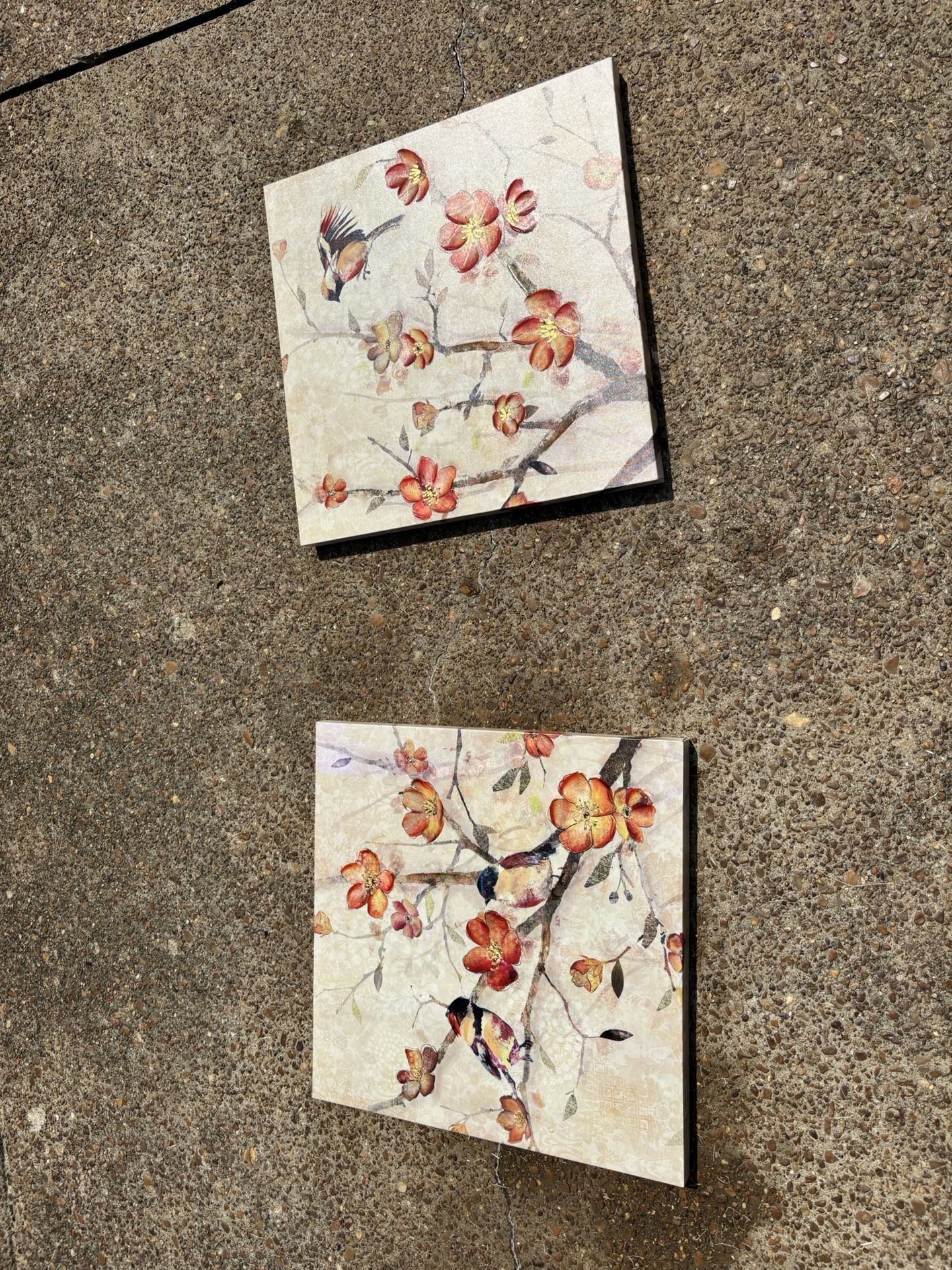 Birds In a Tree Paintings 24”x24”