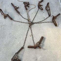 15 Small Animal / Game Traps