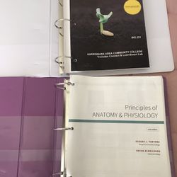 Micro&A&P book