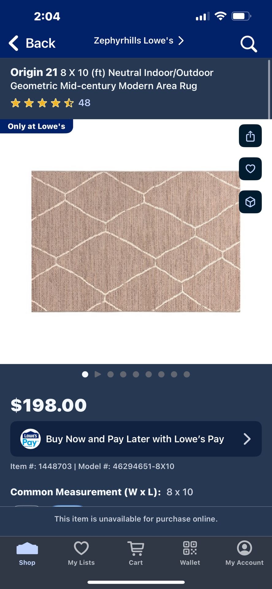 Outdoor Area Rug Brand New 8 X 10