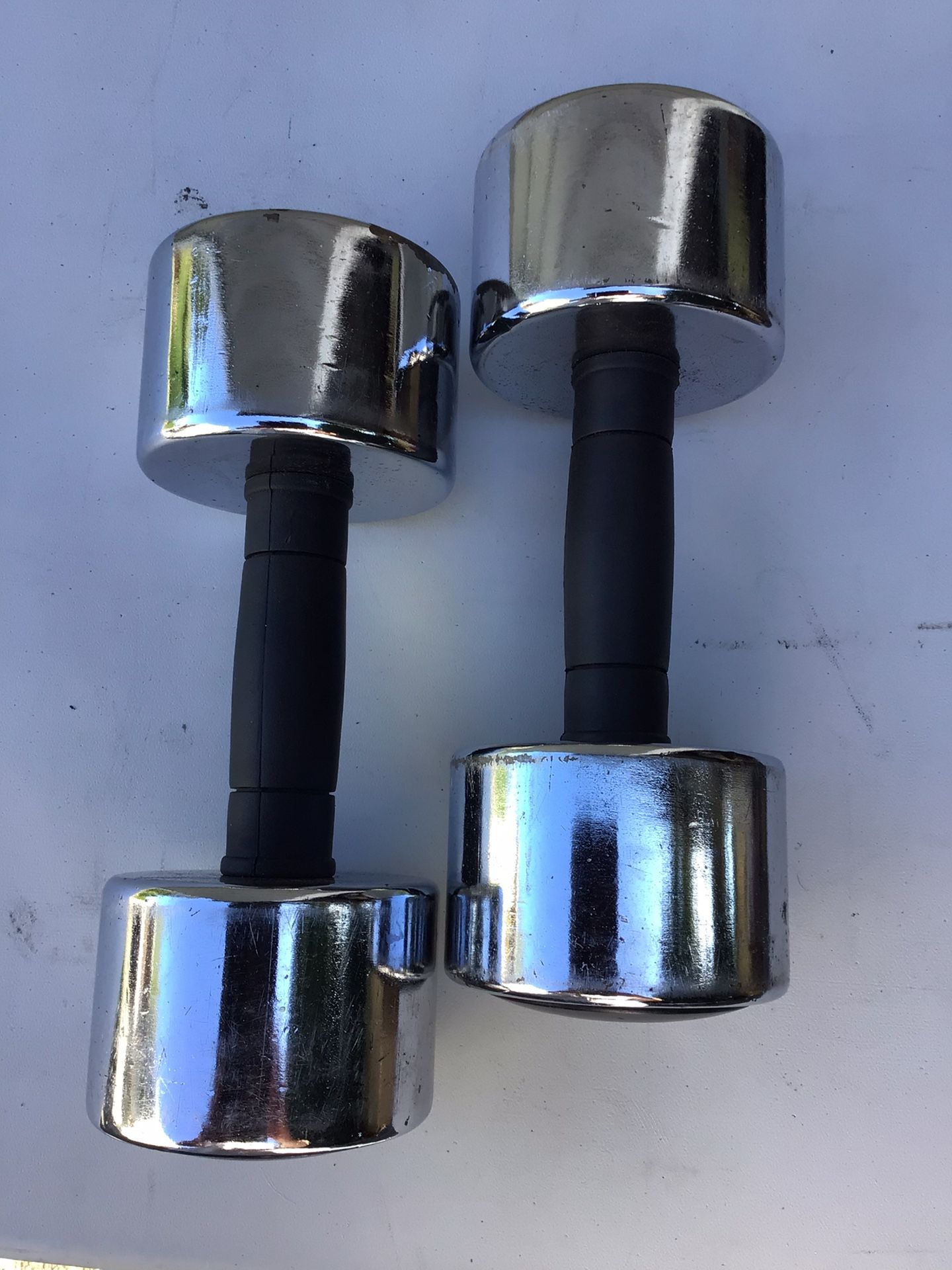 20 lb Dumbbells 
