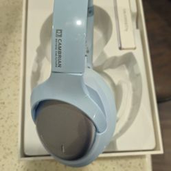 Wireless Bluetooth Noise Canceling Headphones