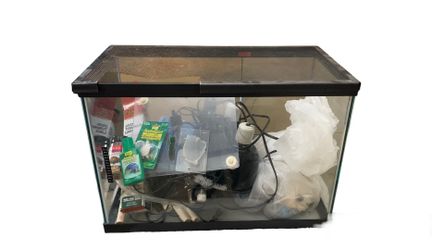 Fish/turtle Tank