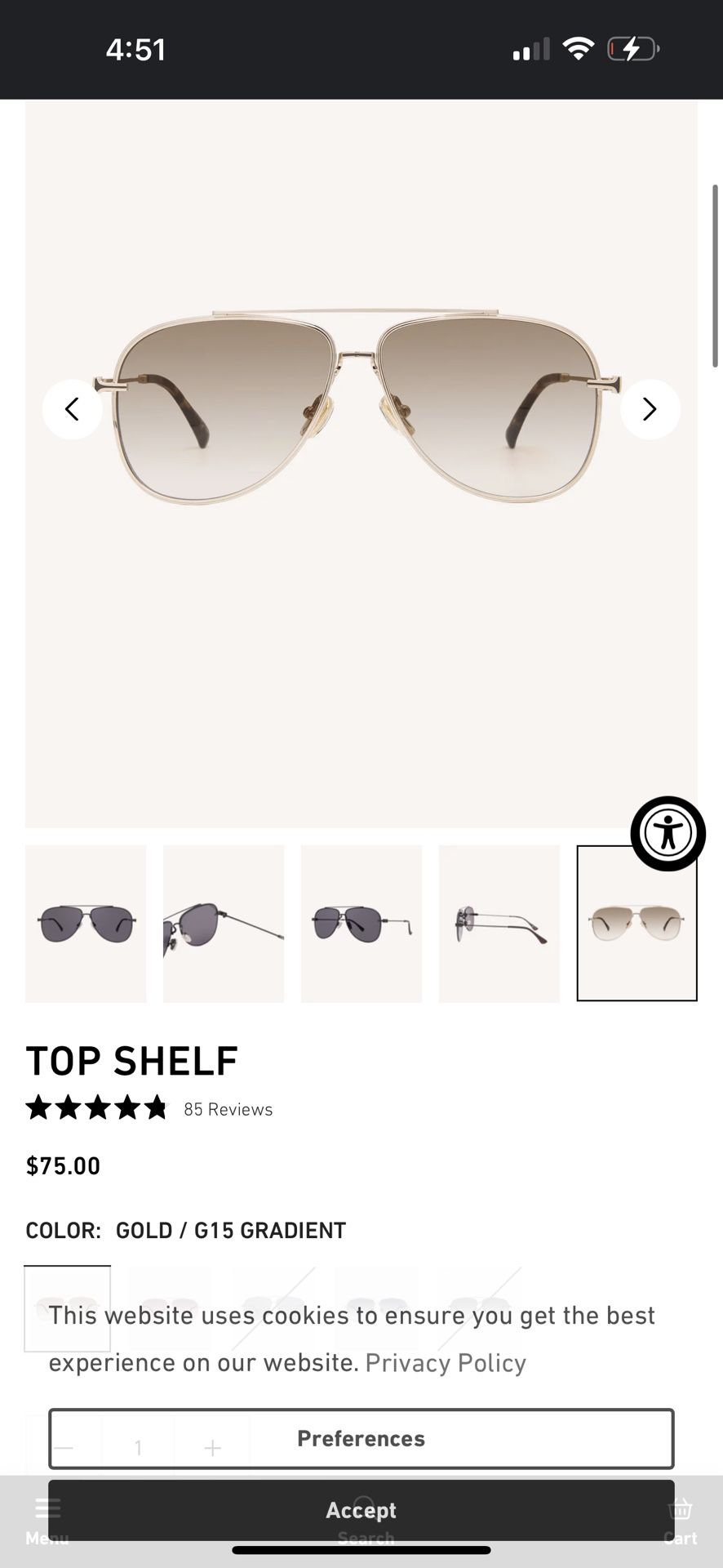 VIRAL New Dezi Aviator Sunglasses (Desi Perkins)