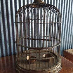 Brass Bird Cage 
