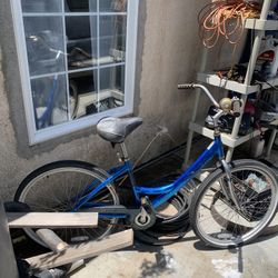 Beach Cruiser Bike
