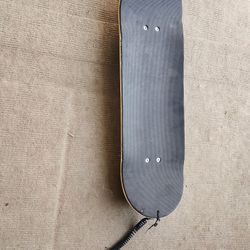 Snow Skateboard