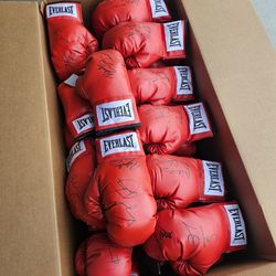 Everlast Red Boxing Gloves Sparring Kickboxing Punching Bag 