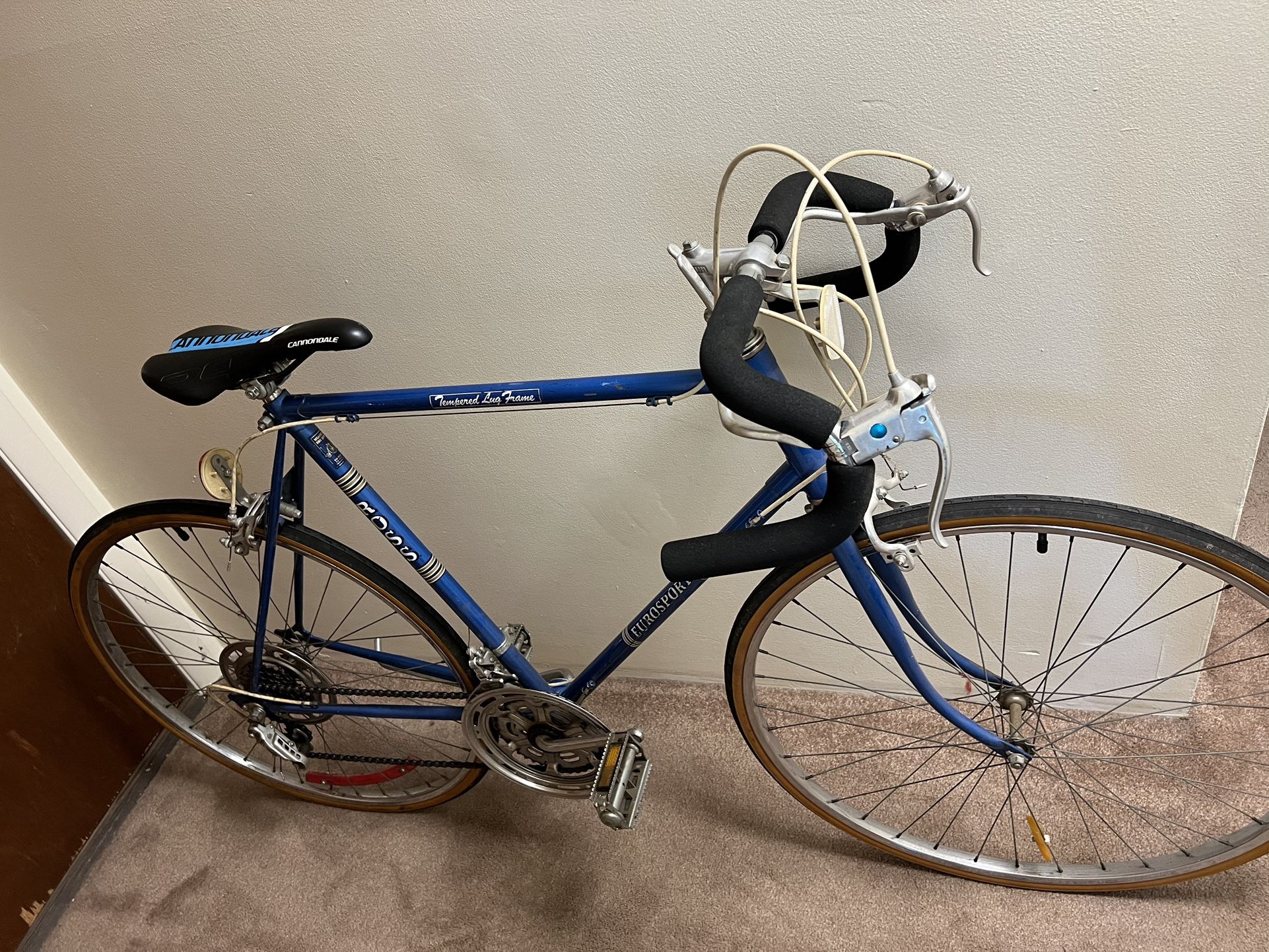 Ross Eurosport tempered lug frame cannondale bike