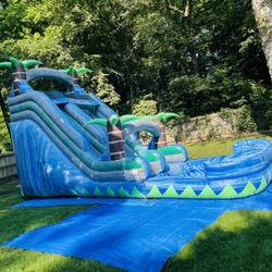 ((imperial Jumpers))