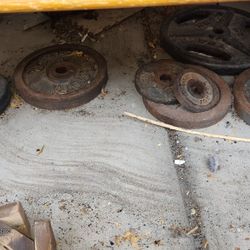 𝔸𝕤𝕤𝕠𝕣𝕥𝕖𝕕 𝕎𝕖𝕚𝕘𝕙𝕥