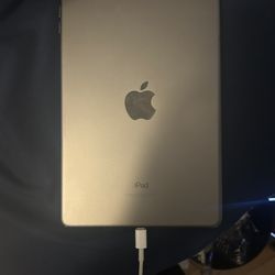 iPad mini 
