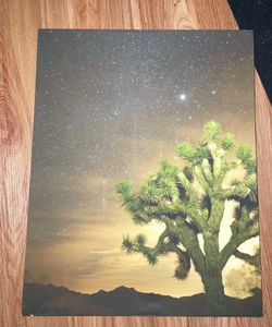 Joshua Tree Astrophotography On Canvas