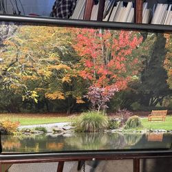 Picture In The Park… Framed In Charcoal Gray