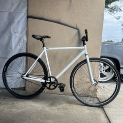 Milwaukee Bruiser 