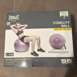 Everlast Stability Ball
